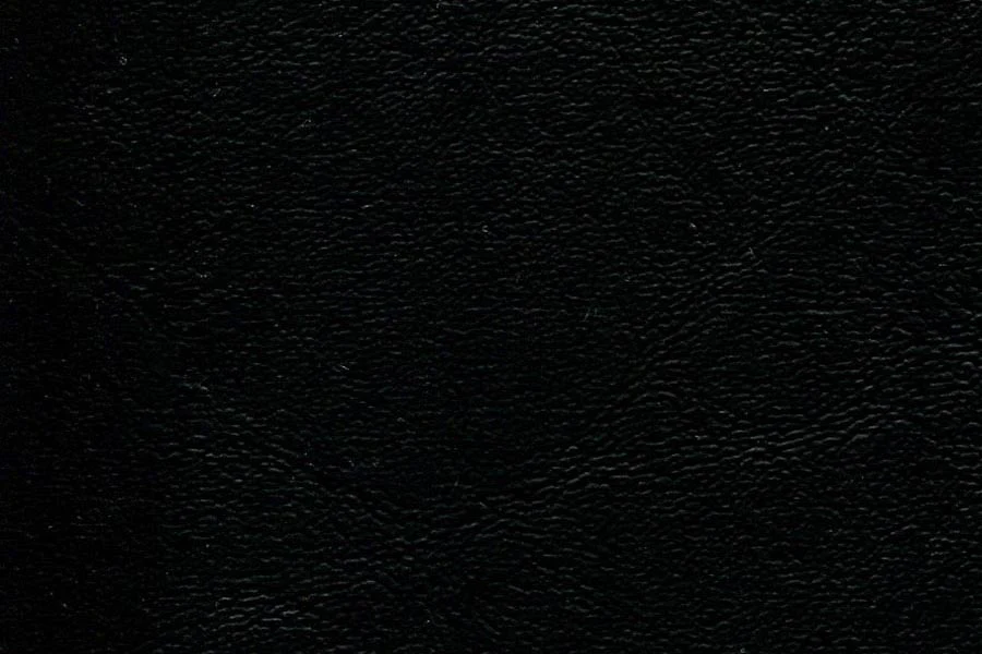 Thumbnail 17
