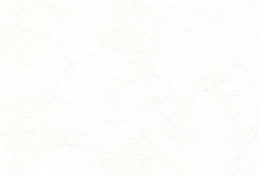 Thumbnail 18