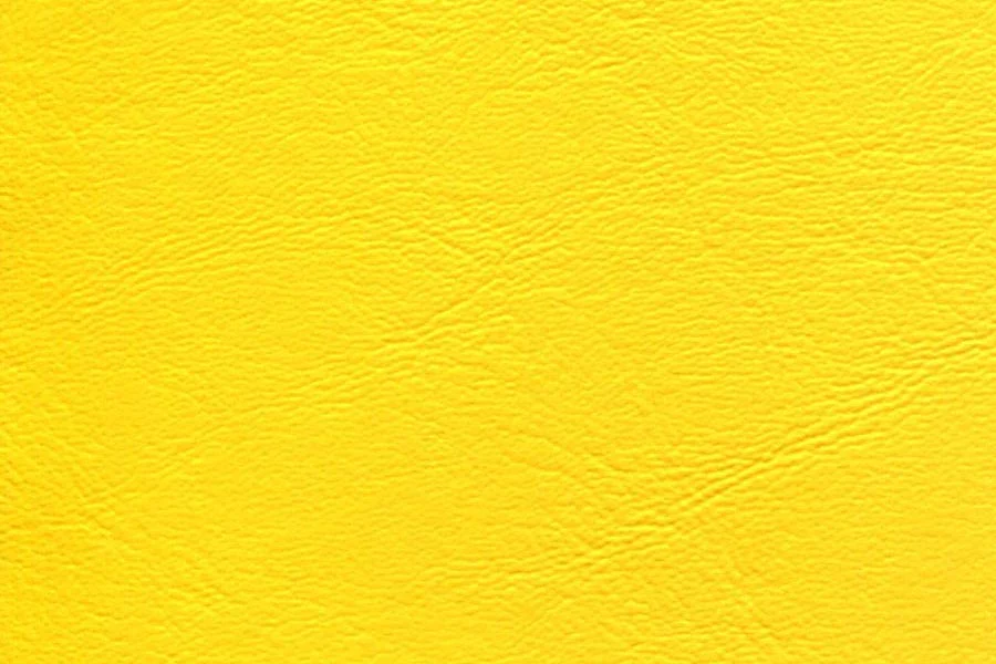 Thumbnail 22