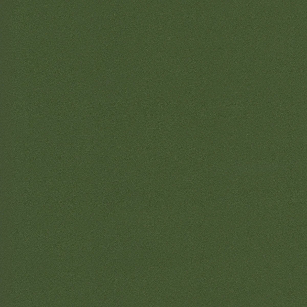 Thumbnail 25