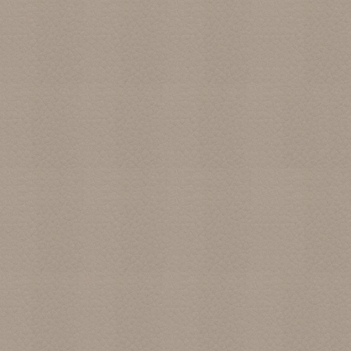 Thumbnail 28