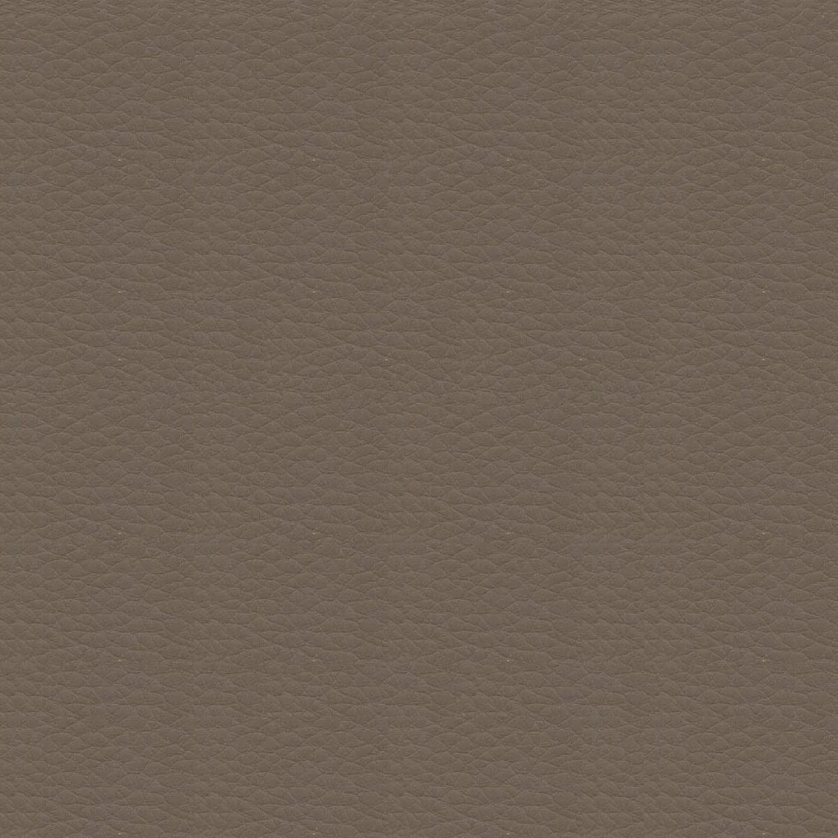 Thumbnail 29