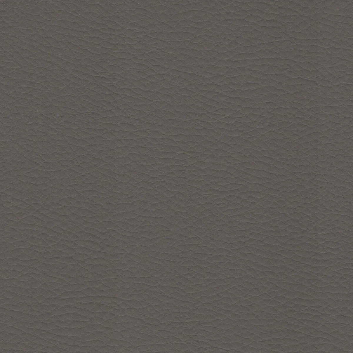 Thumbnail 30