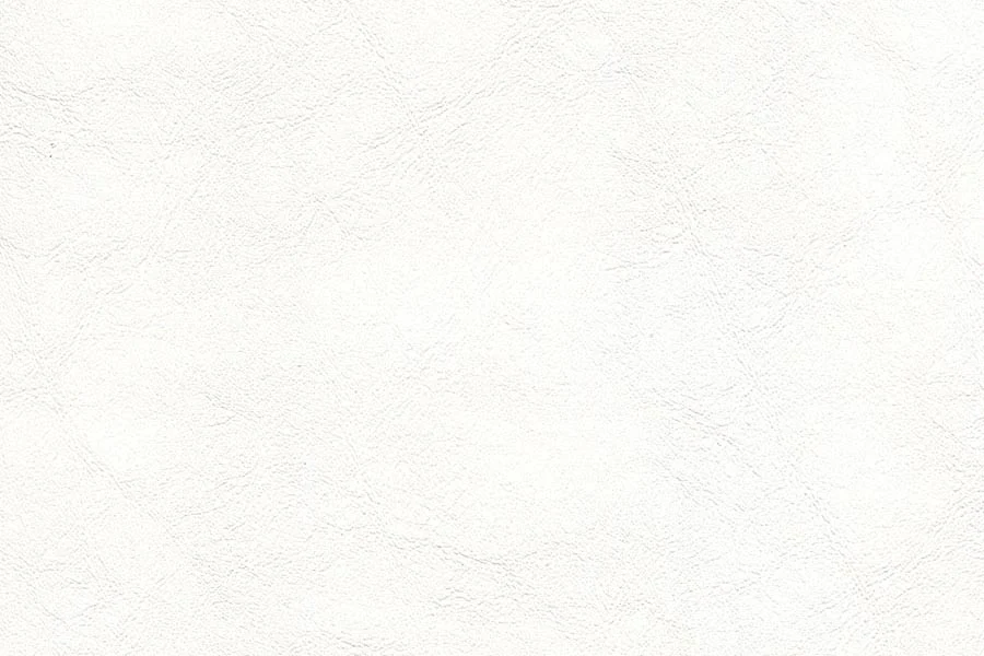 Thumbnail 24