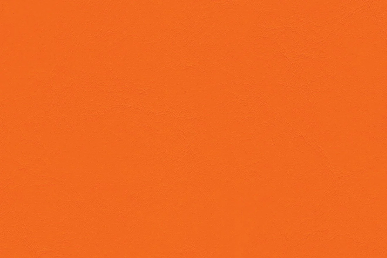 Thumbnail 17